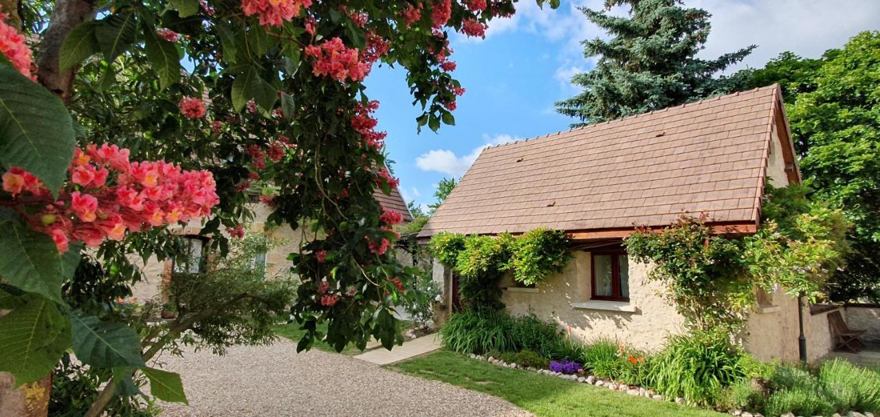 Domaine Des Medards Lägenhet Beaulieu-sur-Loire Exteriör bild