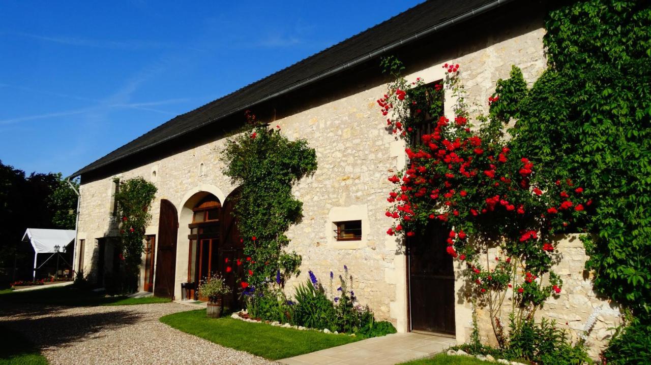 Domaine Des Medards Lägenhet Beaulieu-sur-Loire Exteriör bild