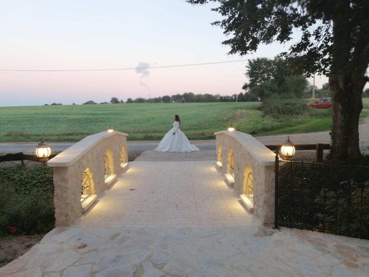 Domaine Des Medards Lägenhet Beaulieu-sur-Loire Exteriör bild